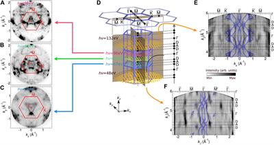 Low-energy spin-polarized electrons: their role in surface physics